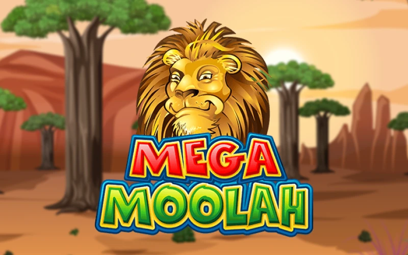 Enjoy the Mega Moolah game and win at Casinonic casino.